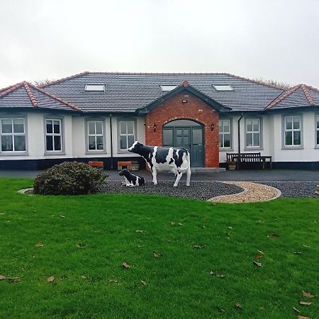 Creeghduff Lodge Downpatrick Exterior photo